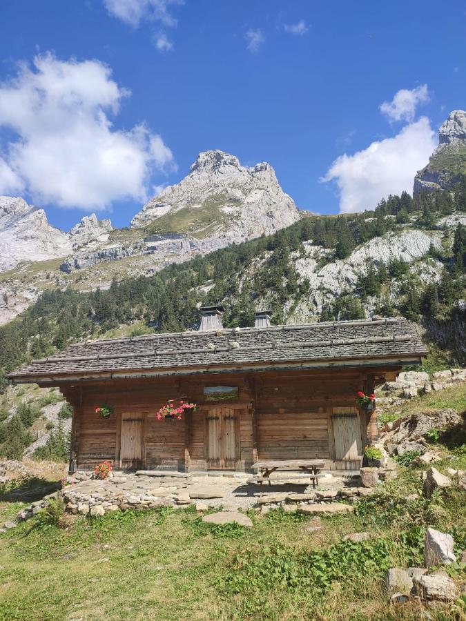 La Petite Anfiane Villa Le Grand-Bornand Eksteriør billede