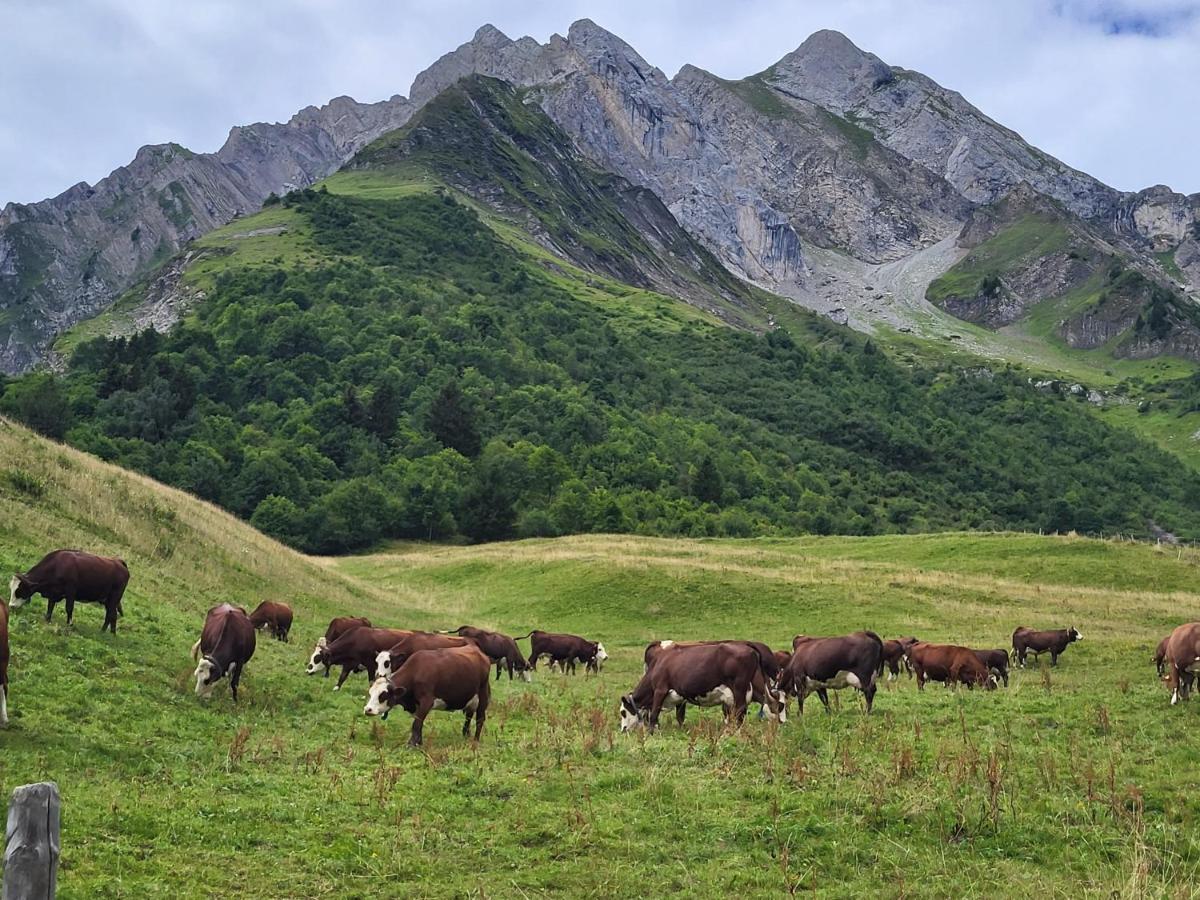 La Petite Anfiane Villa Le Grand-Bornand Eksteriør billede